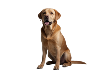 Baron Copperfield. Generative Ai