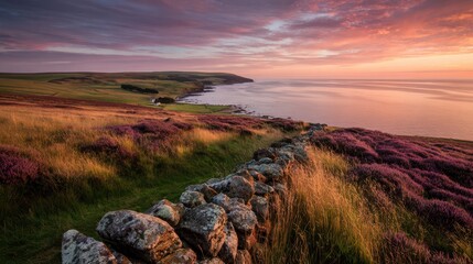 Golden hour landscape in England’s Northumberland with heather and sea horizon