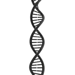 Detailed 3D Rendering of a Black Double Helix DNA Molecule Against a Stark Black Background with Dramatic Lighting Highlighting its Structure