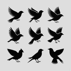 Fototapeta premium Birds Silhouette Collection: A stylish composition of sleek, black bird silhouettes, each captured mid-flight with varying wing positions, against a subtle backdrop.