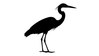 Fototapeta premium Black silhouette of a heron standing tall with its neck curved, against a plain white background