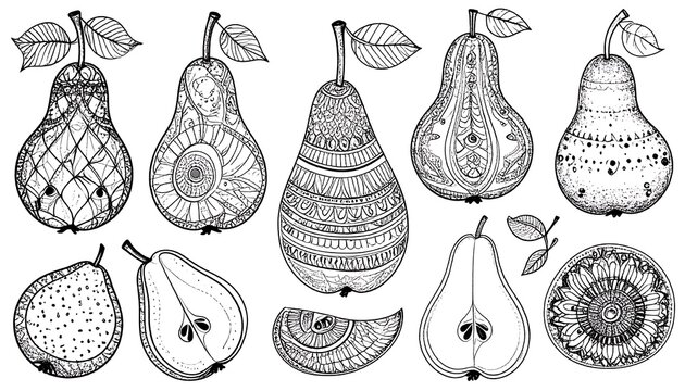 Black and white pear illustration with different patterns, cut portions and whole fruit