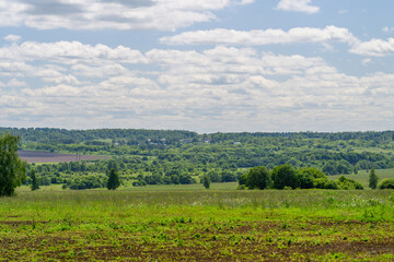 Obraz premium A Beautiful, Lush Green Landscape Spreading Across the Ground Beneath a Bright Blue Sky Above