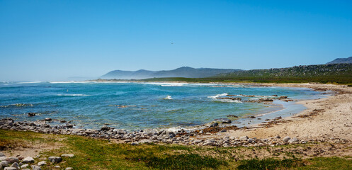 Obraz premium Stunning coastal view of Olifantsbos Beach at Cape Point, Table Mountain National Park, Cape Town, Western Cape, South Africa. Turquoise ocean waves crash on sandy shores under a clear blue sky.