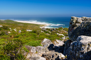 Scenic view from Gifkommetjie View Point, Cape Point, Table Mountain National Park. Rugged rocks and green fynbos overlook the Atlantic Ocean under clear blue skies in Cape Town, South Africa.