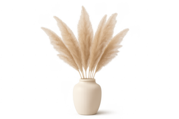 Pampas dry grass plumes in minimalist vase