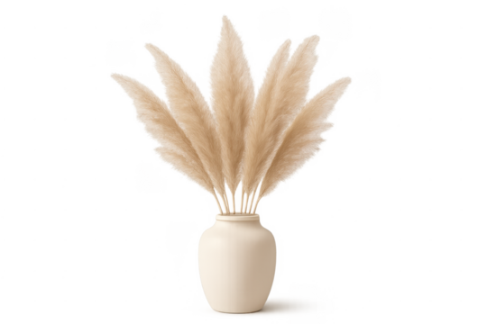Pampas dry grass plumes in minimalist vase