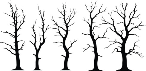 Obraz premium PrintTree silhouette illustration, leafless tree vector, branching pattern icon, winter forest design, ecology graphic, nature outline art, botanical shape, growth stage