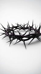 Fototapeta premium Black crown of thorns with sharp spikes placed on white background. 