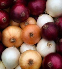 Background with different types of onions - white, red, yellow onions close-up view. Natural vegetable texture.