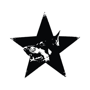 Black and white illustration of a fierce doberman dog head with a black star background shape in retro vintage punk style