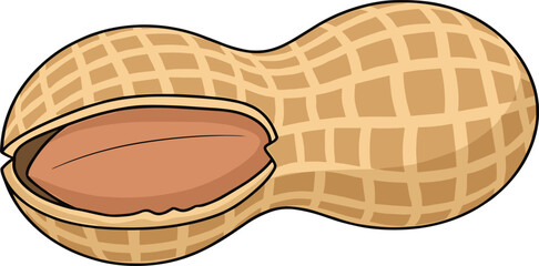 Cartoon Peanut in Shell Illustration with Textured Surface and Exposed Nut