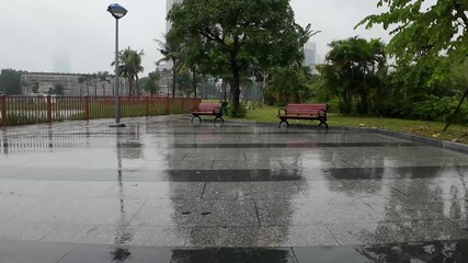 Park After Heavy Rain – Wet Pavement and Fresh Nature 4K