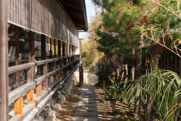 Traditional Japanese walkway beside a wooden house with bamboo blinds, stone path, and pine trees in a serene garden setting.