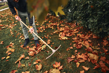 Man cleaning garden from fallen autumn leaves.