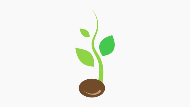 sprout   icon animation  simple  flat