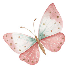 Watercolor Butterfly Clipart – Pink Mint Butterfly PNG