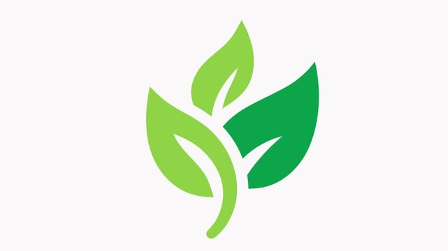 leaf  icon animation  simple flat