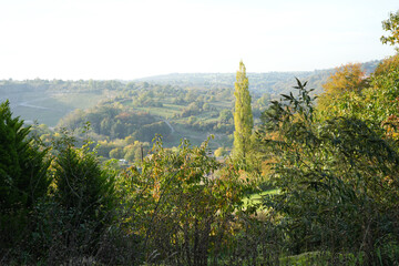 Panoramic View Of An Autumnal Valley With Winding Roads And Distant Hills, Framed By Green Foliage At Black Rocks, Cromford, Derbyshire.