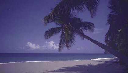 palm tree on the beach vintage photo