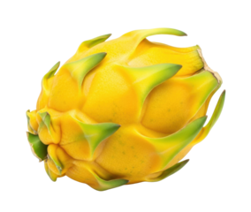 Close-up shot of a ripe yellow dragon fruit with green edges, isolated on white.