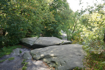 Ancient Gritstone Boulders And Green Forest At Black Rocks, Cromford, Derbyshire, With Sunlit Path Winding Through The Scenic Woodland.