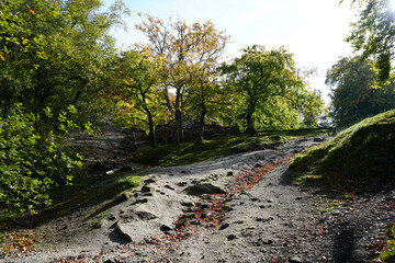 Sunlit Woodland Path Through Autumn Trees At Black Rocks, Cromford, Derbyshire, With Vibrant Foliage And Dappled Light Creating A Peaceful Forest Scene.