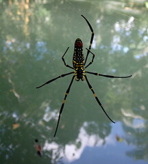 Laos temples and lifestyles