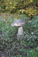 Hand-carved Wooden Mushroom Sculpture Nestled Among Lush Green Foliage And Brambles At Black Rocks, Cromford, Derbyshire, Peak District National Park.