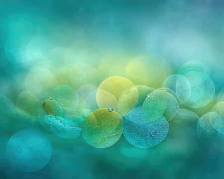 Abstract Teal Aqua Green Circles Bokeh Background