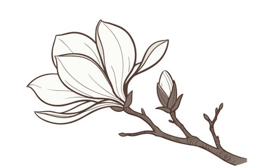 Magnolia Blossom Silhouette © graphixarrow