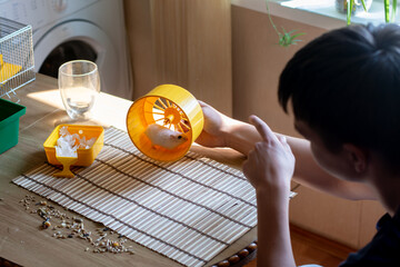 Child playing with a cute white hamster in a yellow exercise wheel on a sunny wooden table. A...