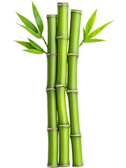 Fototapeta premium Fresh green bamboo stalks isolated on transparent background, perfect for eco, nature, and zen-inspired design projects.
