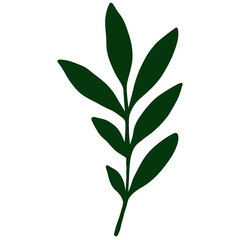 Olive Green Botanical Branch Silhouette on White Background