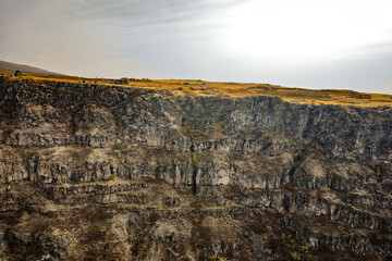 A rocky cliff with a few trees and a few cows