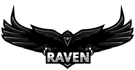 Raven mascot logo design, black bird illustration, powerful wingspan, graphic emblem