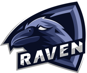 Raven head logo design, modern graphic illustration, stylized bird mascot