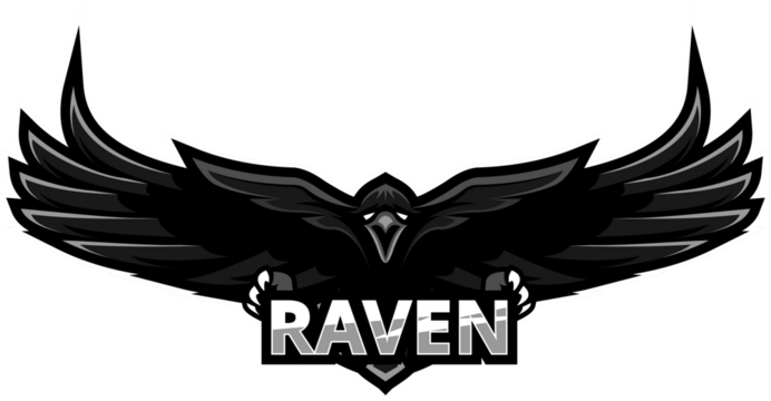 Raven mascot logo design, black bird illustration, powerful wingspan, graphic emblem
