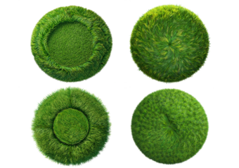 Abstract green grass texture for background. Circle green grass pattern isolated on a transparent or white background