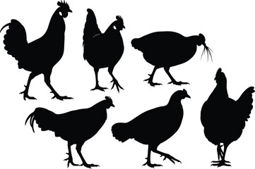 Chicken silhouette vector set, black farm birds, walking and standing poses, crest hen artwork, isolated poultry design elements, animal graphics