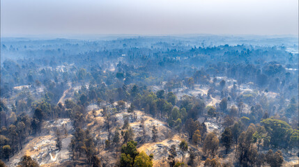 Obraz premium devastation. Aerial view of a charred forest landscape, hazy atmosphere and deep perspective. ESG reports, sustainability campaigns, designed for environmental awareness campaigns.
