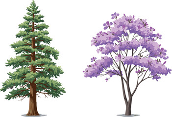 Coniferous pine tree and flowering purple tree, botanical contrast, forest diversity, vibrant blossoms, seasonal foliage, nature scene, outdoor 