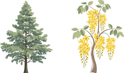 Coniferous pine tree and flowering yellow tree, botanical contrast, forest diversity, vibrant blossoms, seasonal foliage, nature scene, outdoor landscape, plant structure, scenic view, green leaves