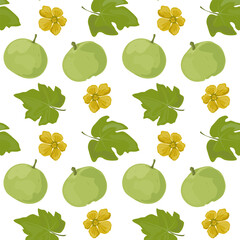 Seamless pattern Tinda. Indian Round Gourd.