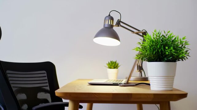 Modern desk setup featuring chair, laptop, desk lamp, and potted plants with white wall background