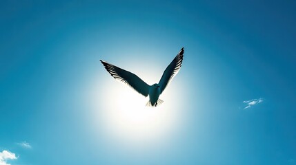 Obraz premium Majestic Bird in Flight Against a Bright Sky with Sunlight Creating a Beautiful Halo Effect Around Its Outspread Wings
