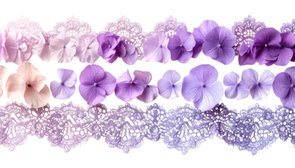 Ombre rows of delicate hydrangea blossoms and lacy details on a black background