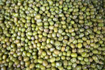 A pile of Kacang Hijau or Pods, green beans or Mung bean (Vigna radiata). Food background