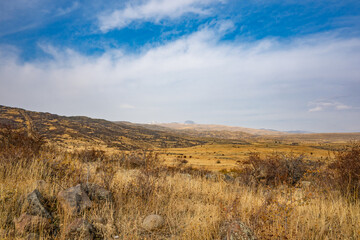 Fototapeta premium A dry, barren landscape with a few trees scattered throughout