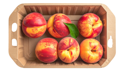 Six ripe nectarines in a cardboard tray, a leaf present